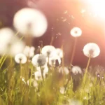 Artikkeli perustuu Roosa Reponen | Vanhemmaksi yksi askel kerrallaan