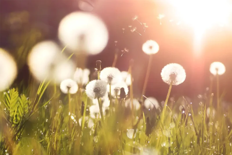 Artikkeli perustuu Roosa Reponen | Vanhemmaksi yksi askel kerrallaan