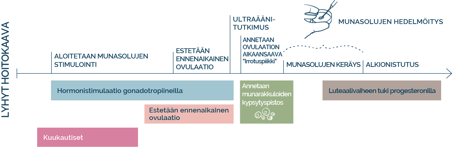 IVF/ICSI – Lyhyt hoitokaava