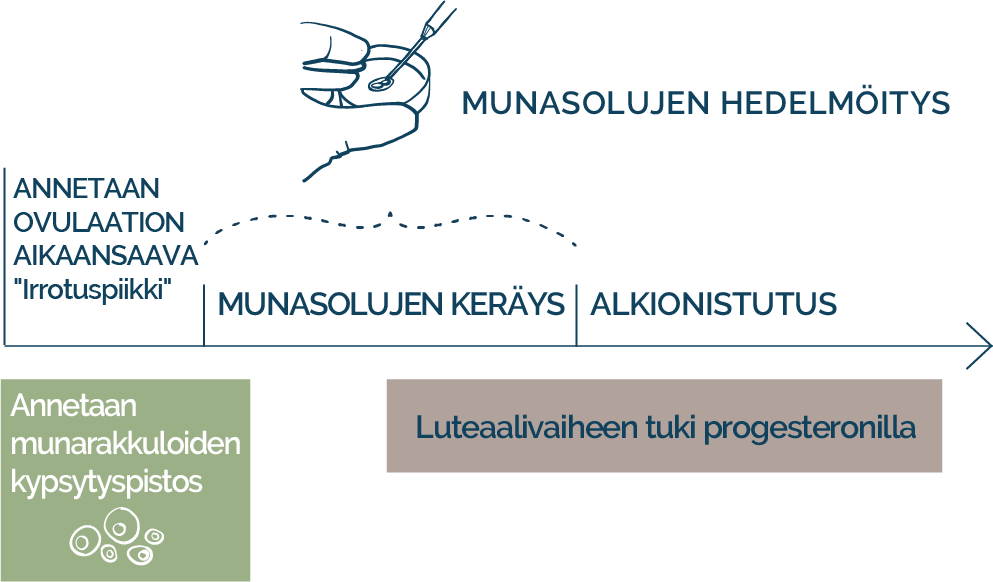 PRrotokolla lisäkortti